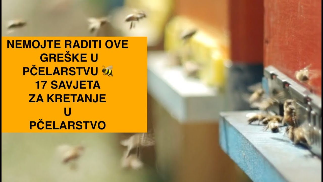 🍯Prije prve košnice, razmislite o ovih 17 pčelarskih činjenica (osnove pčelarstva )🐝 pčelarstvo 2025