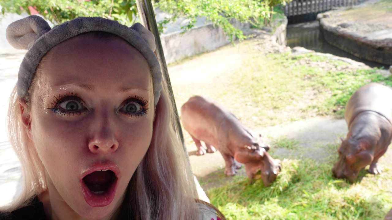 Thailand Zoo Vlog: feeding hippos | Chiang Mai Zoo + Animals Tour 🦓🐅🐘🦒🦛🐒