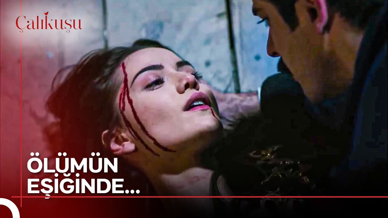 Yaraları Sarıp Derman Olma Zamanı | Çalıkuşu