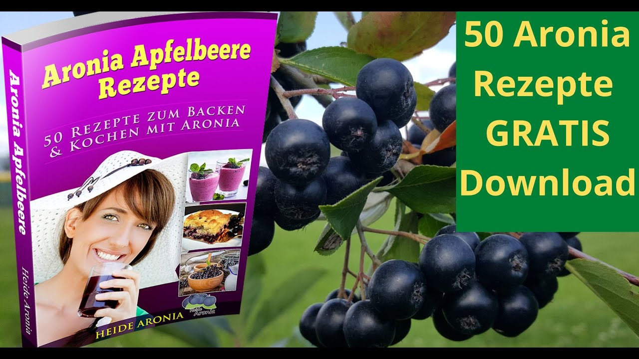 Aroniabeeren verarbeiten 50 Aronia Rezepte zum Verarbeiten von frischen Aroniabeeren Gratis DOWNLOAD