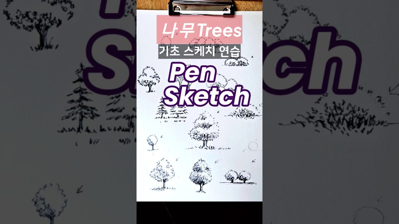 왕초보기초어반스케치_🌳나무 Trees_Pen Sketch🌳