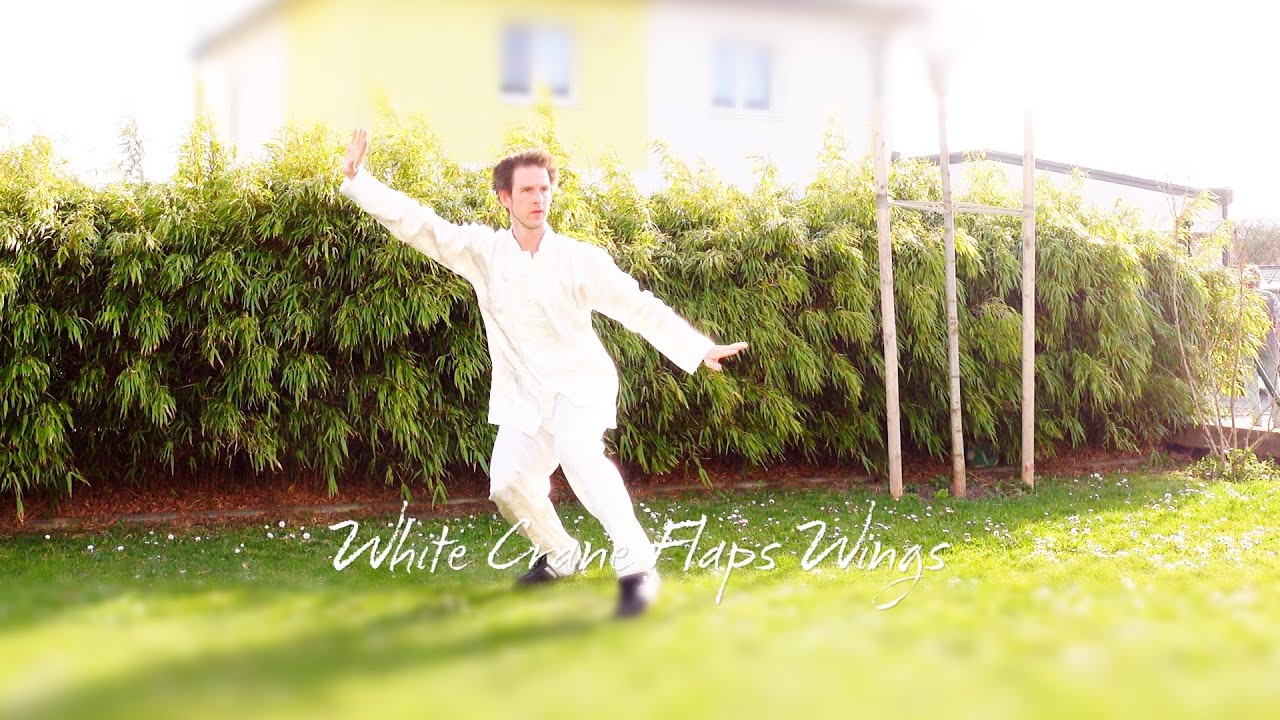 White Crane Flaps Wings (2021)