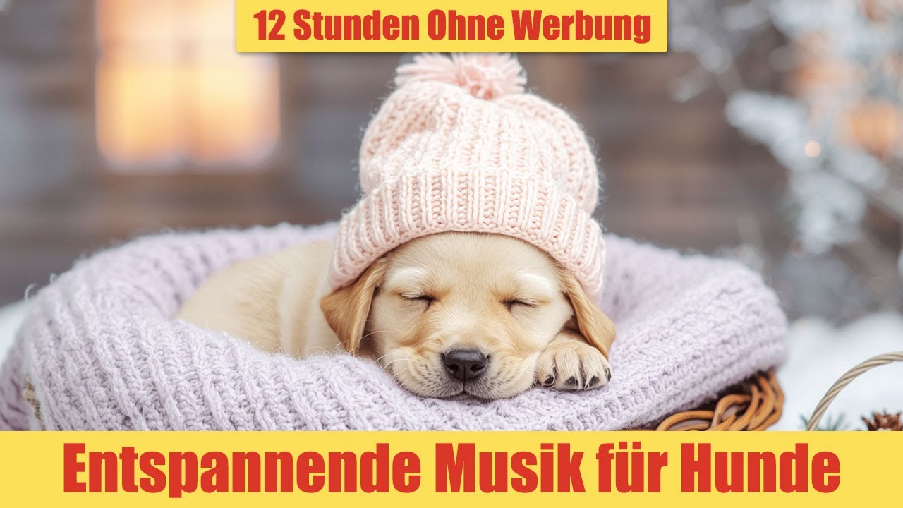 Entspannungsmusik für Hunde - 12 Stunden Ohne Werbung | Für ängstliche & nervöse Hunde_vol.18