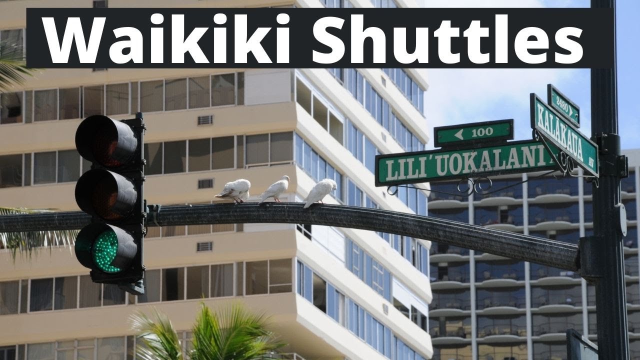 Нет машины? Не проблема! | 6 шаттлов Waikiki Shuttles для поездок по Вайкики | Туры Blue Wave | OAHU