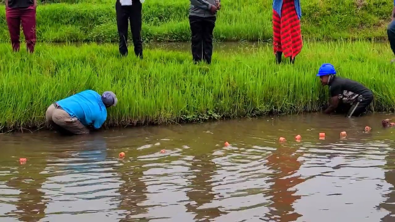 Visit Idjwi & Sud Kivu & Comment pêche-t-on les poissons