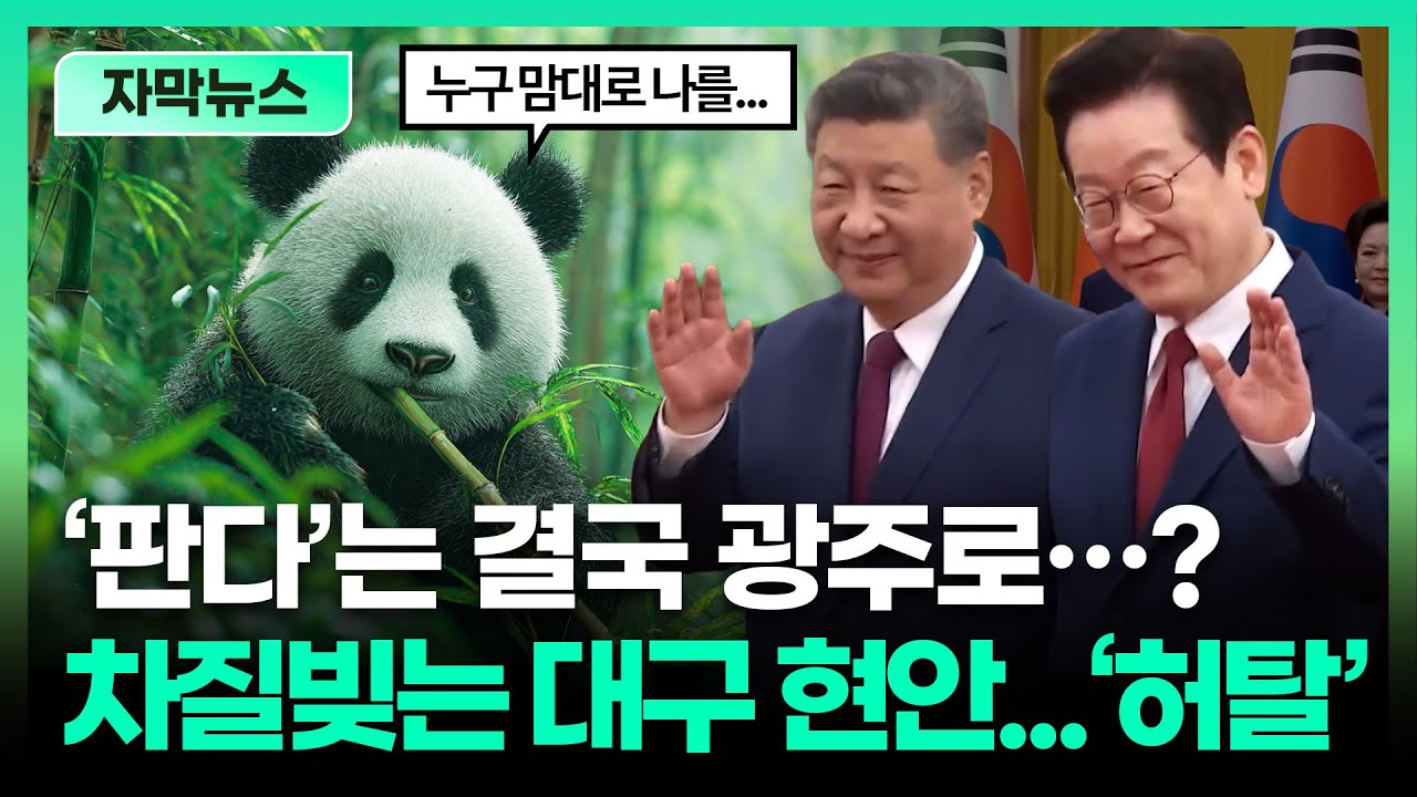 '판다'는 결국 광주로...? 차질 빚는 대구 현안들에 '허탈'ㅣTBC 자막뉴스