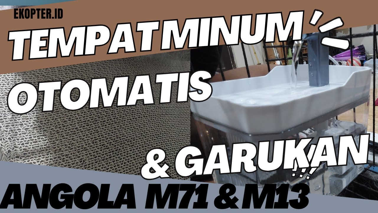 Daliview #01 Tempat Minum Otomatis dan Garukan Kucing | Angola M71 & M13