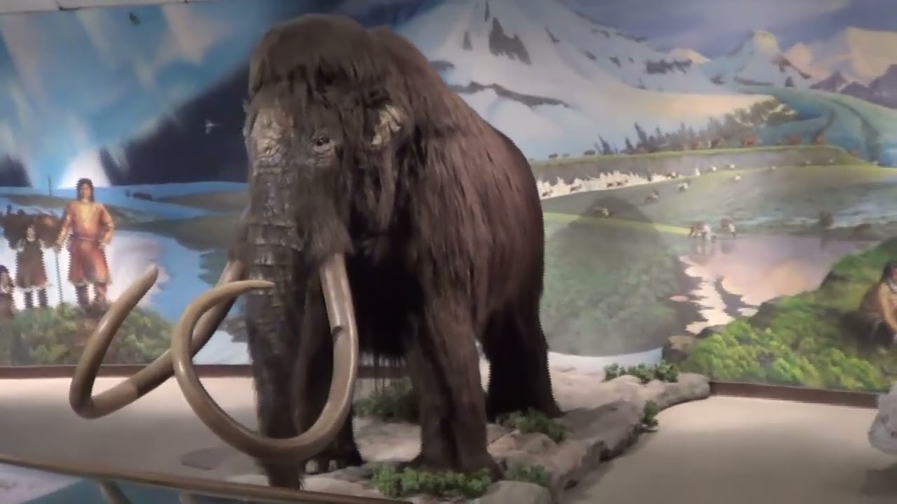 2017 02 02 - Venice - Tar Pit - California Science Center - Las Vegas