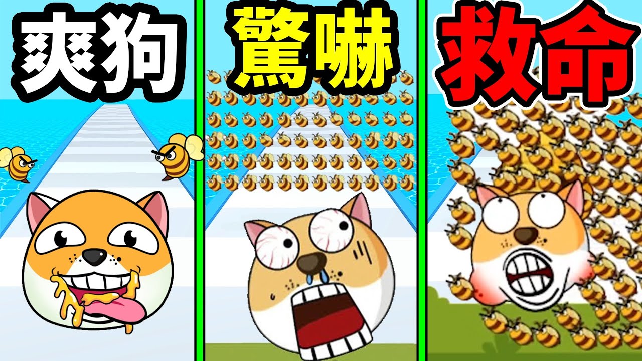 【瘋狂叮狗】柴柴吃蜂蜜爽過頭,被蜜蜂們復仇聯盟了｜sting the doge