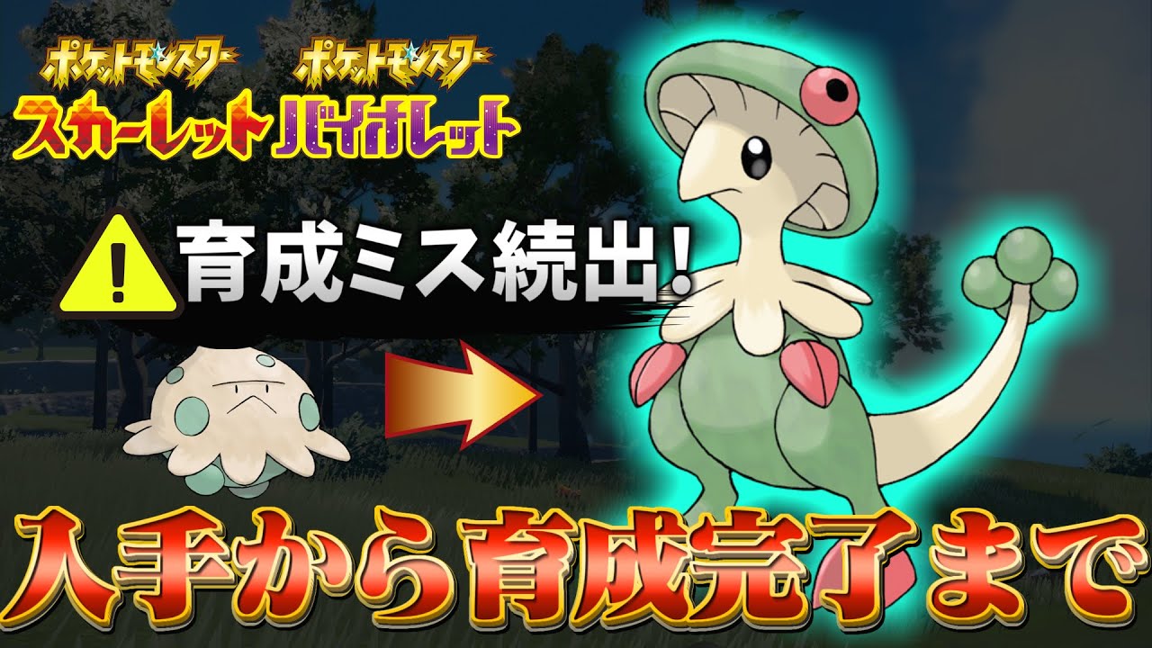 【キノガッサ 育成論 ポケモンsv】育成ミスする人が続出してます！環境最強キノガッサの育成論と育成方法！(ポケモンスカーレットバイオレット)