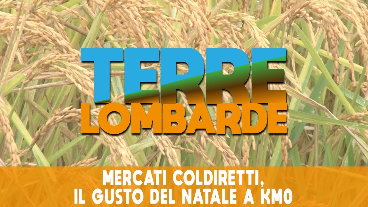 Mercati Coldiretti, il gusto del Natale a Km0