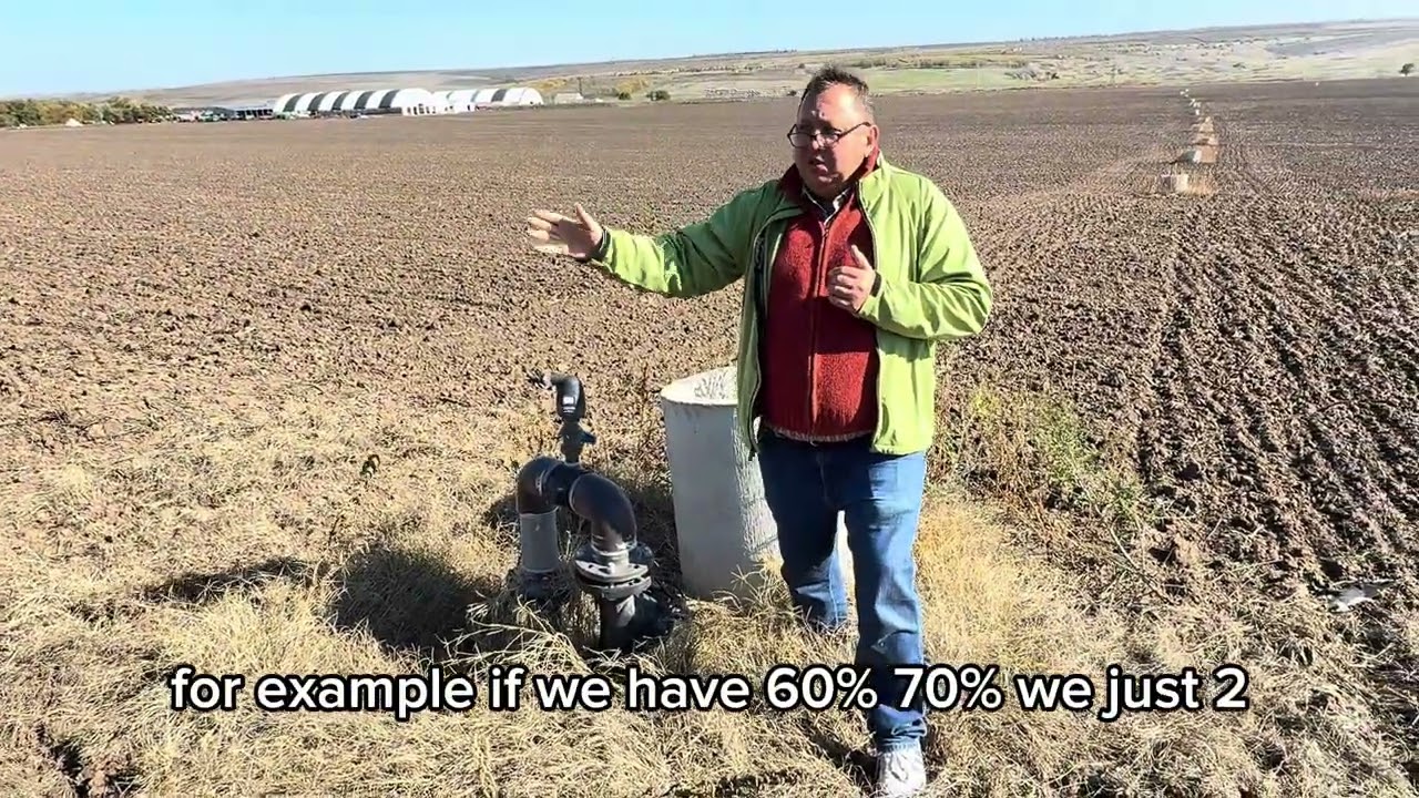 Subsurface drip irrigation example from Moldova - 8 years of experience with corn 