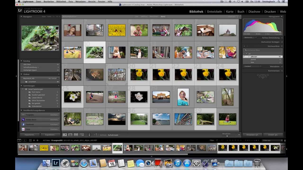 Lightroom meine Arbeitsweise, Teil 3 - Katalogisieren von Fotos, Stichwörter zuweisen