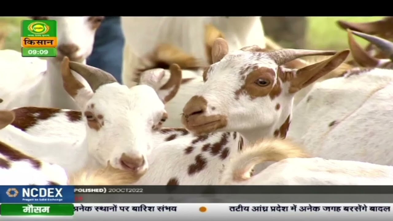Shresth Sansthaan- CIRG part-2 | Oct.16,2022