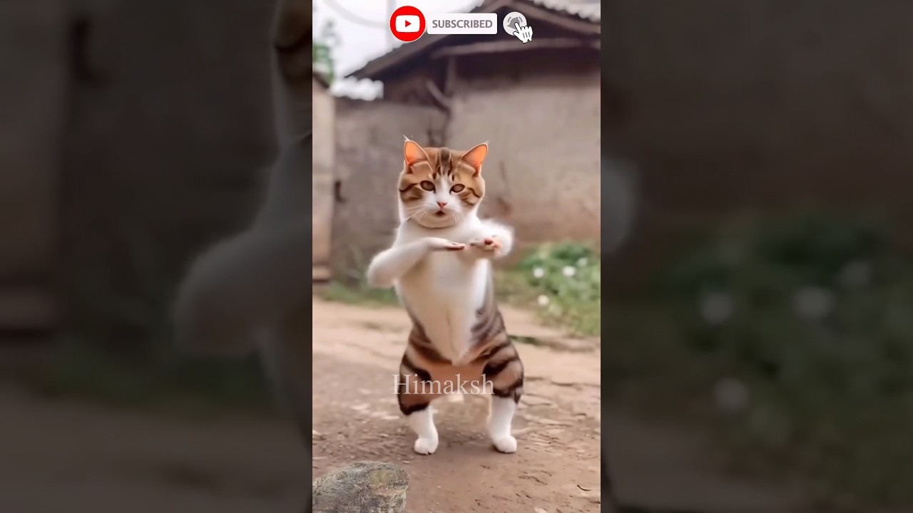 Funny cat 🐈 monkey 🐵 and baby laughing video #shorts #cute #baby #monkey #cat #youtubeshorts
