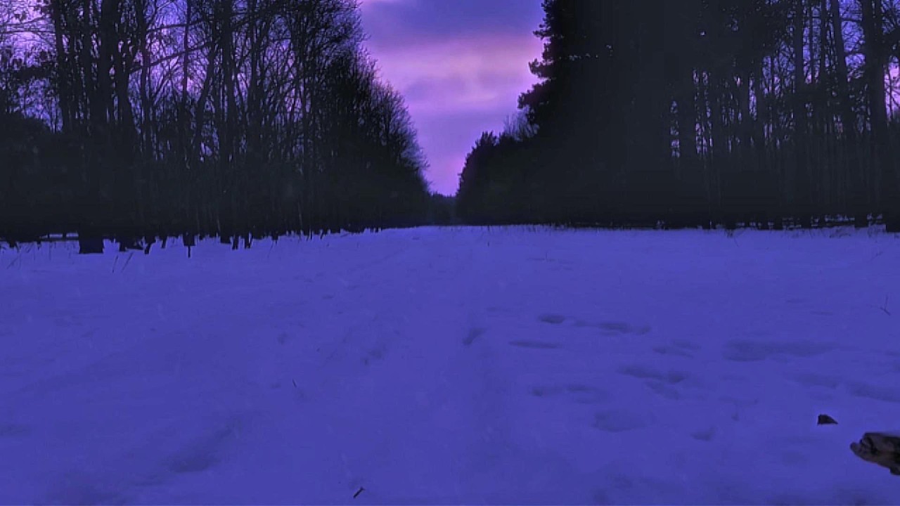 It’s Okay to Be Tired – Forest Night for Sleep