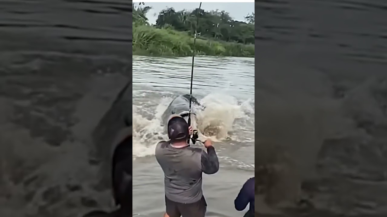 REAL LIFE River Monster! 🐉 You Will NOT Believe the Size of this Fish! 😱