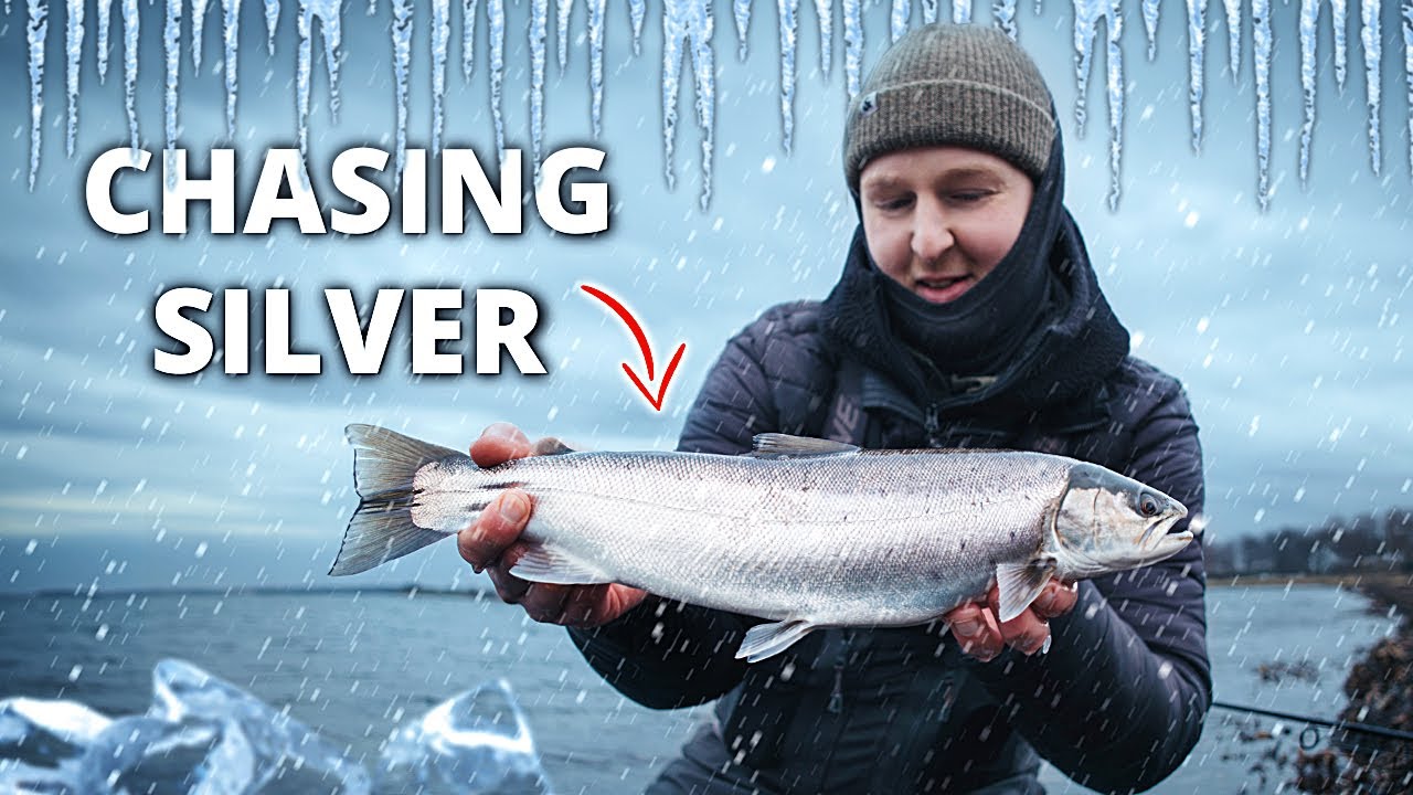 Chasing Silver - Jagten På Overspringeren (Trodser KOLDT Vand & Minusgrader!)