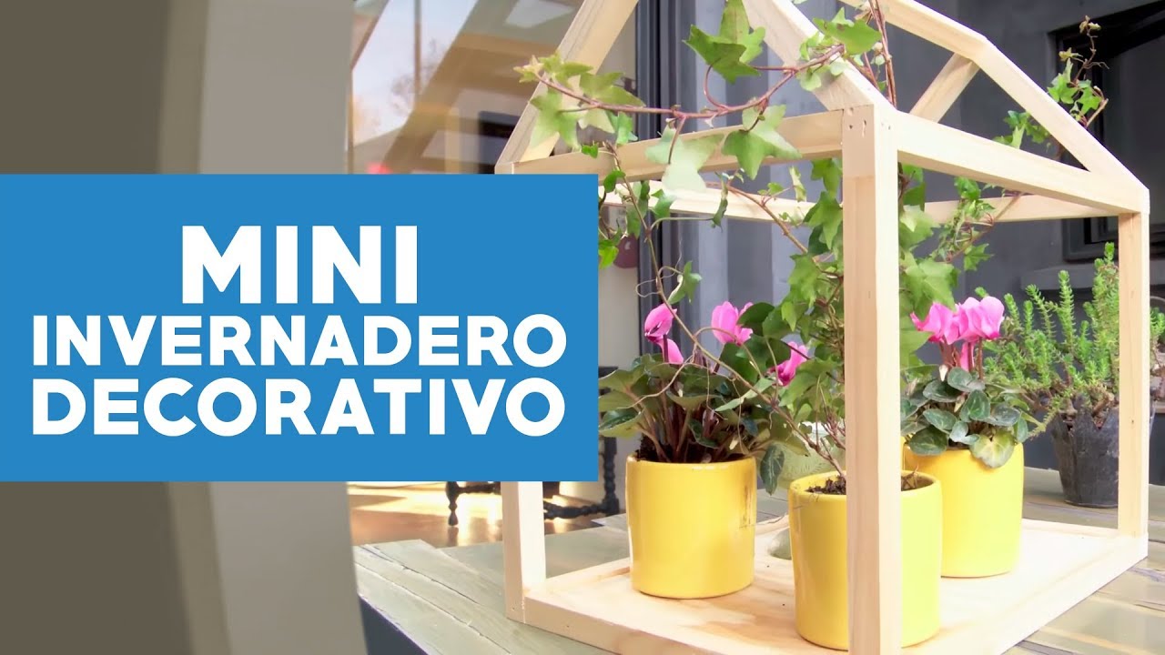 &iquest;C&oacute;mo hacer un mini invernadero decorativo?