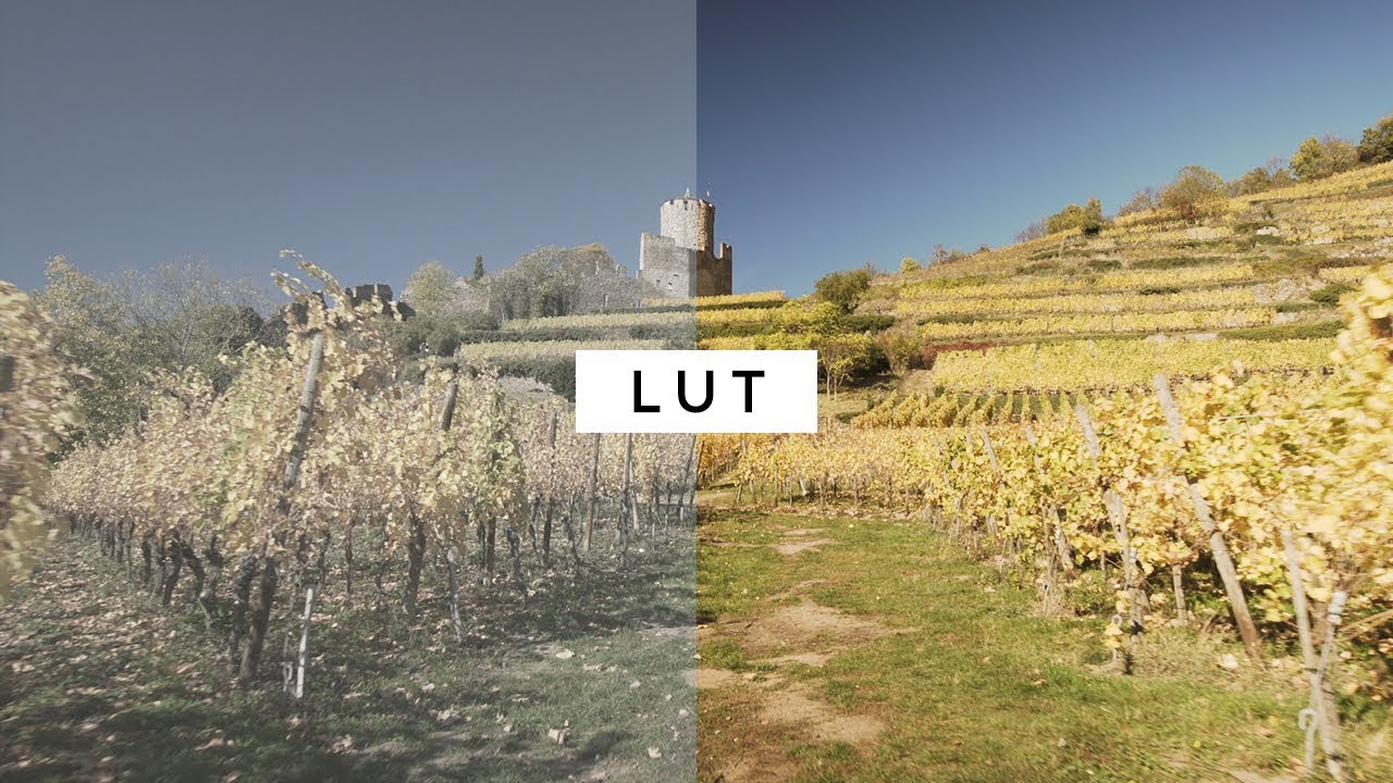 ПОНИМАНИЕ И ИСПОЛЬЗОВАНИЕ LUT