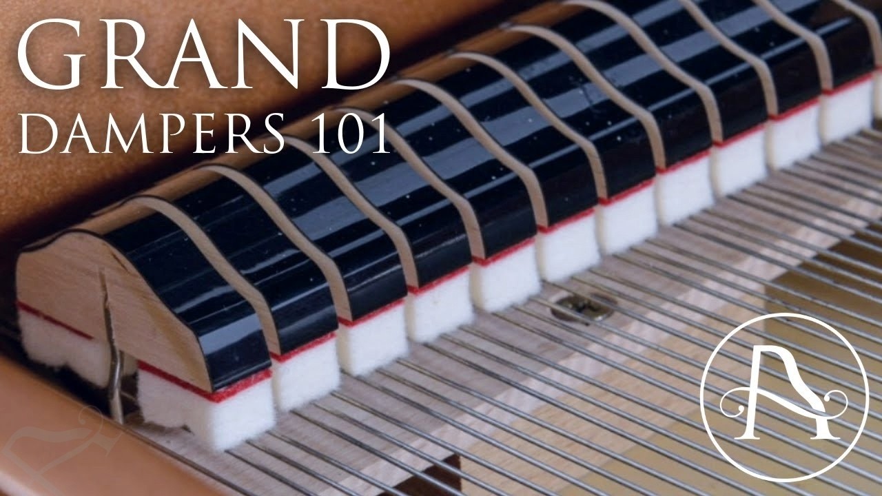 Grand Piano Dampers 101!