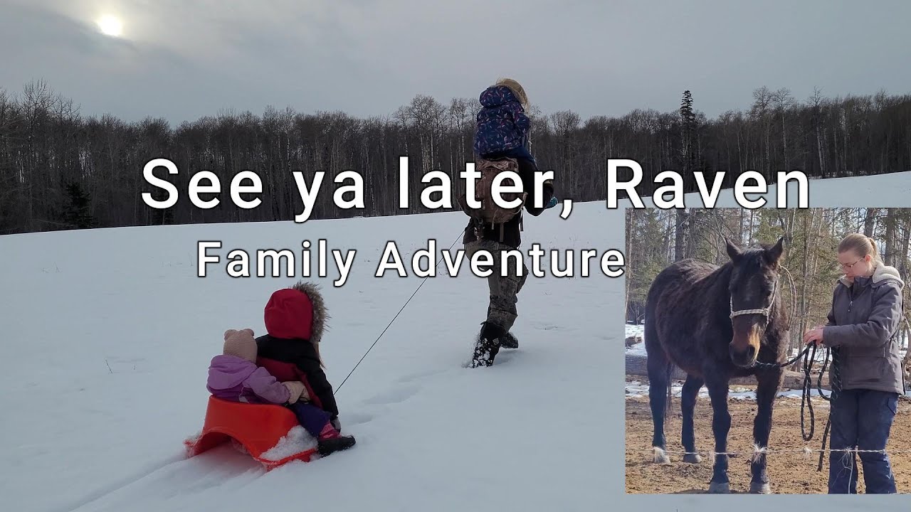 Farm Changes Continue 🥹 | Hard Decisions on a Small Farm Vlog | Winter Adventure