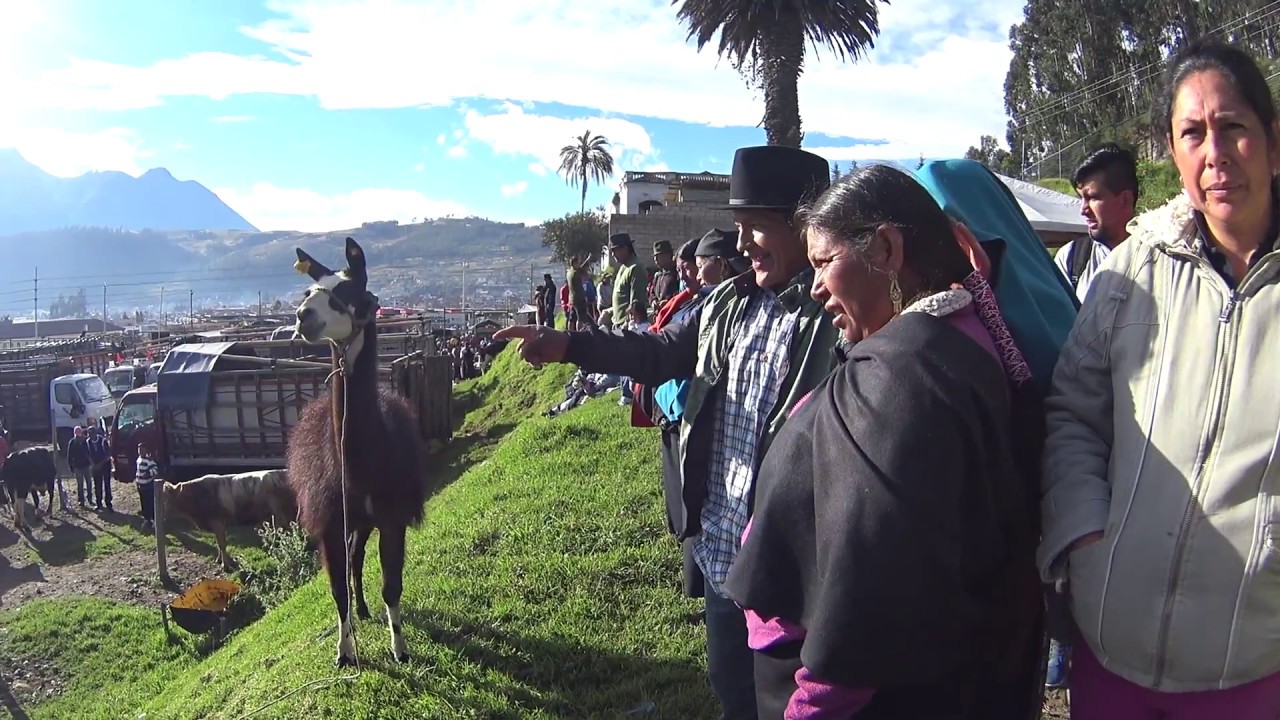 Reisvideo Ecuador