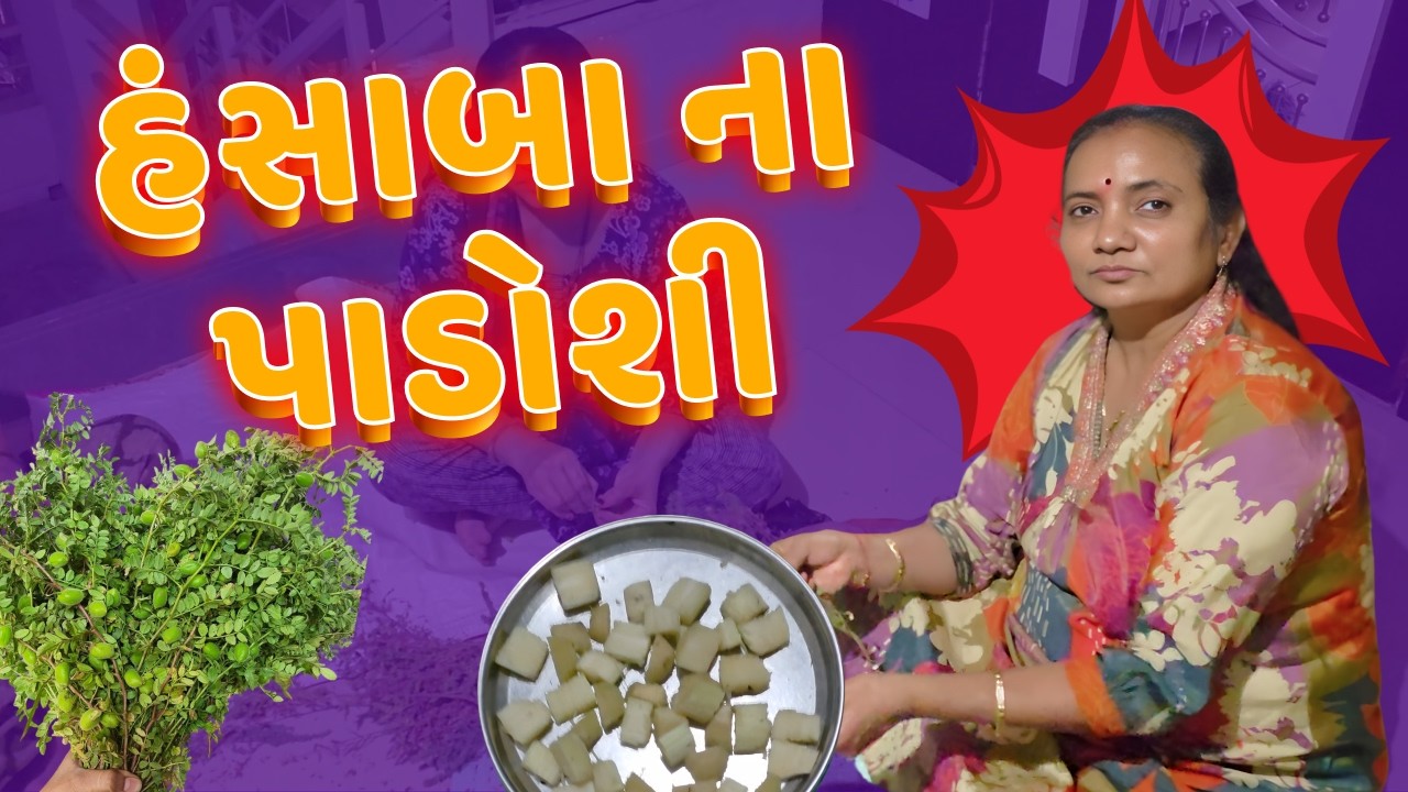 કોણ છે હંસાબા ના પાડોશી | #familyvlog #hansabaavlog #comedy #padosivlogs #neighborhood