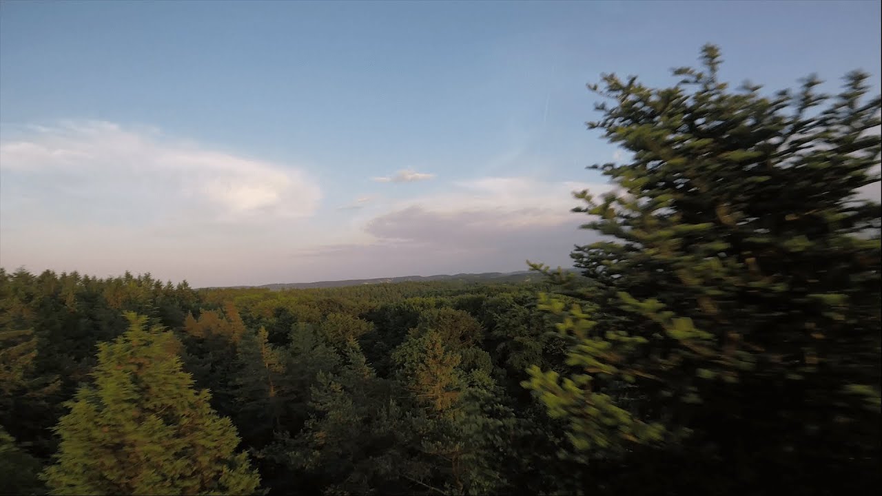 Emax Hawk 5 test