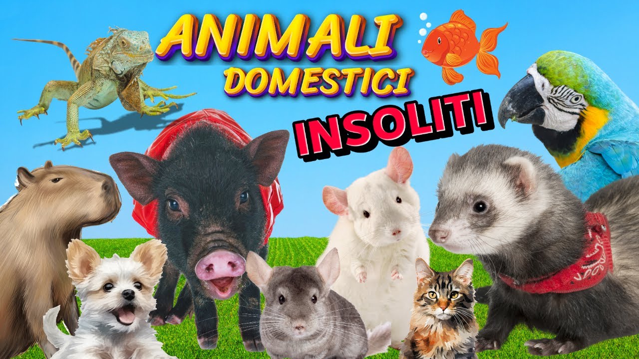 ANIMALI DOMESTICI INSOLITI: Scopri Caratteristiche e Curiosit&agrave;