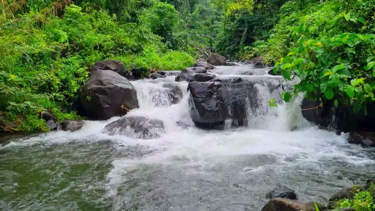 Pure River Flow Ambience For Deep Focus & Calm Productivity 4K • 1 Hour River Stream Ambience