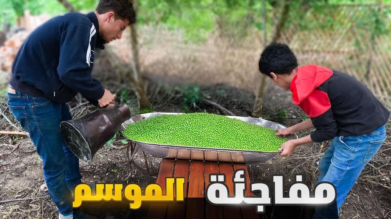 اين ابو النور ولماذا لم يعد يظهر في القناة ماهو السر وراء اختفائه حل اللغز في هذه الحلقة ؟؟