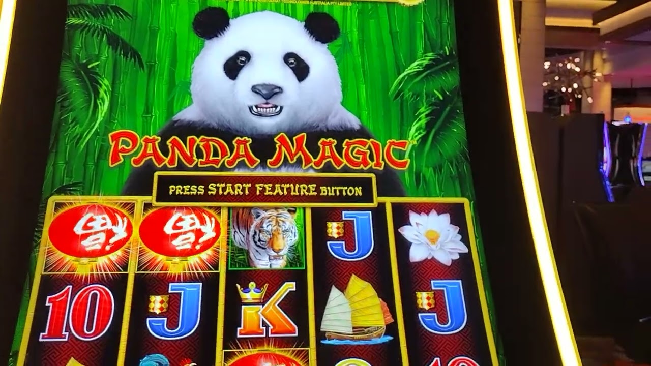 JJK se diverte en Palm casino jugando