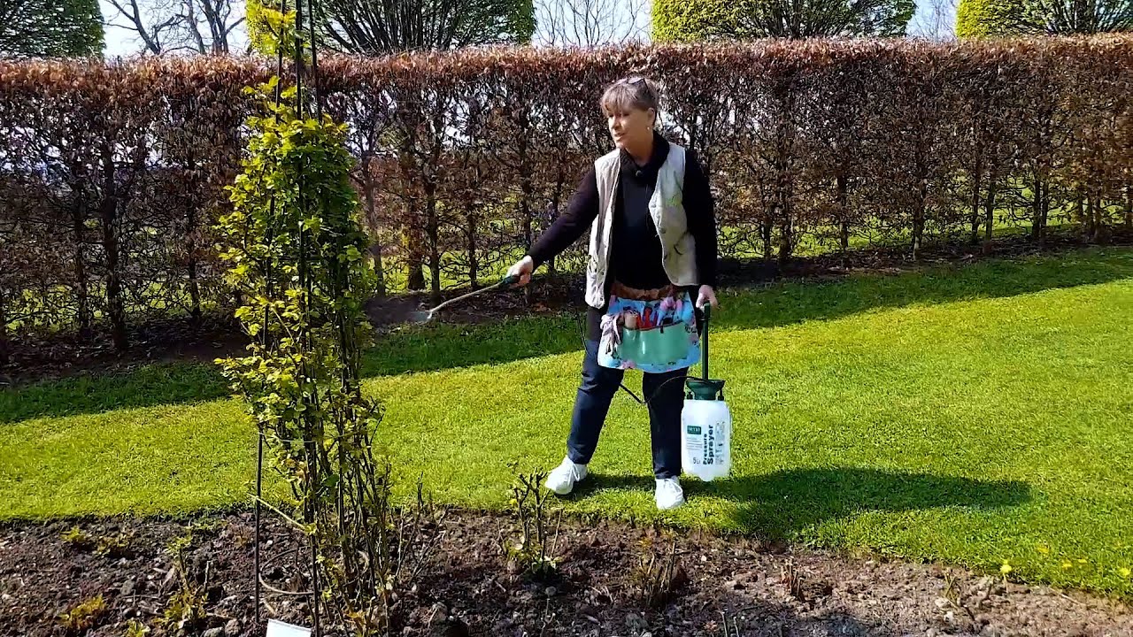 Düngen & Pflegen in den Gärten von Landhaus Ettenbühl Teil II