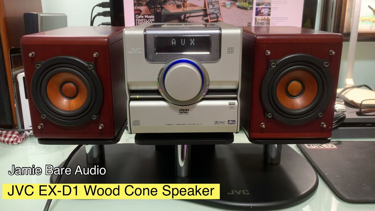 JVC EX-D1 Wood Cone Speaker
