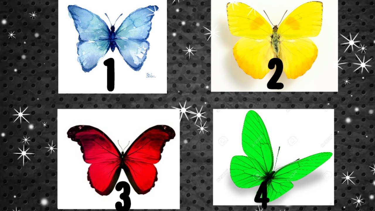 PICK A BUTTERFLY 🦋 UNIVERSE HAS A MESSAGE ABOUT YOUR TRANSFORMATION.