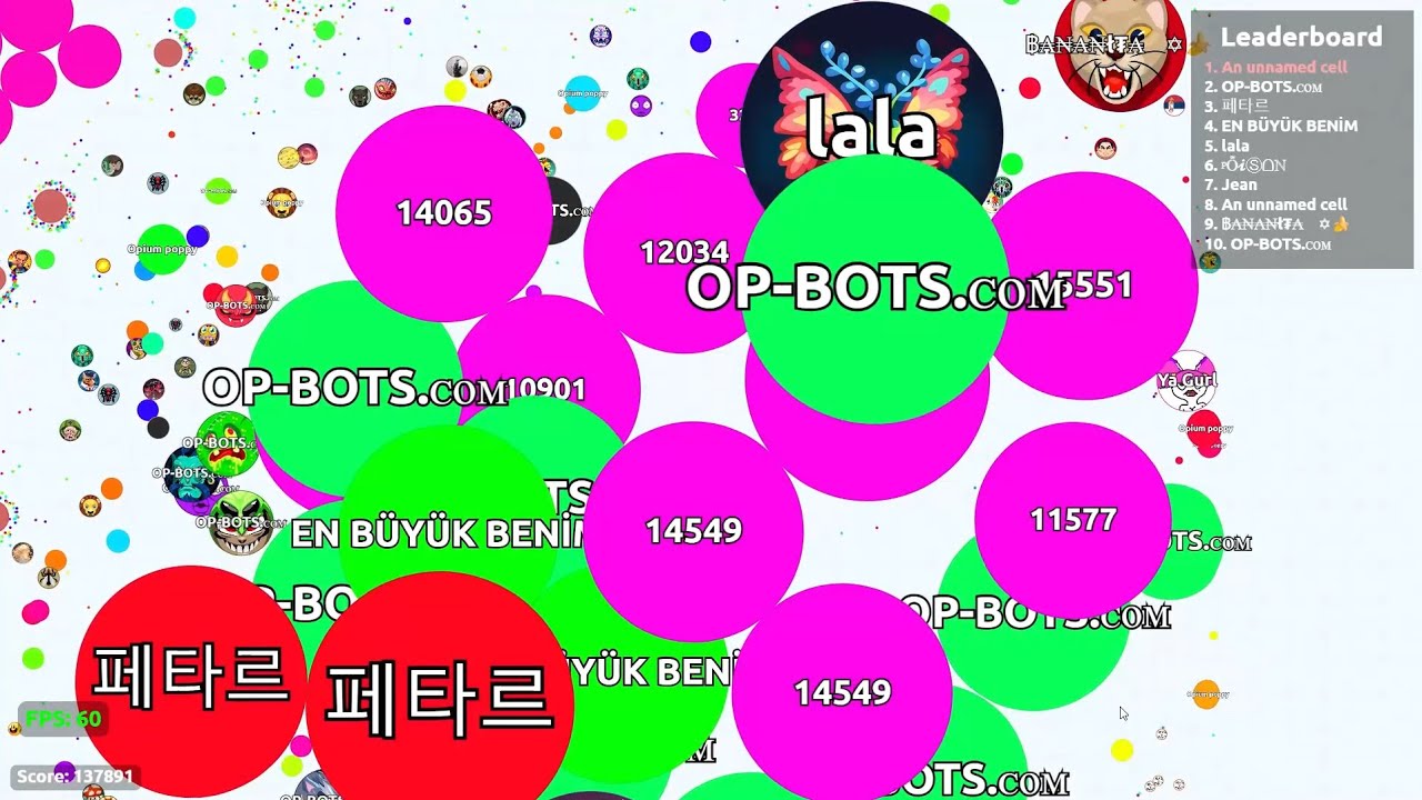 Agar.io - Botter Rages At My Mere Existence