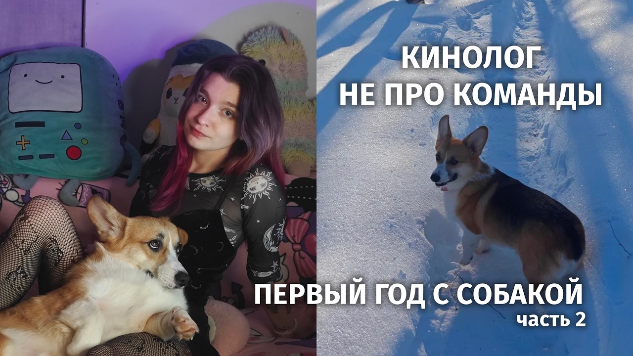 Как выбрать кинолога и не пожалеть | Мой опыт | Первый год с собакой (Часть 2)