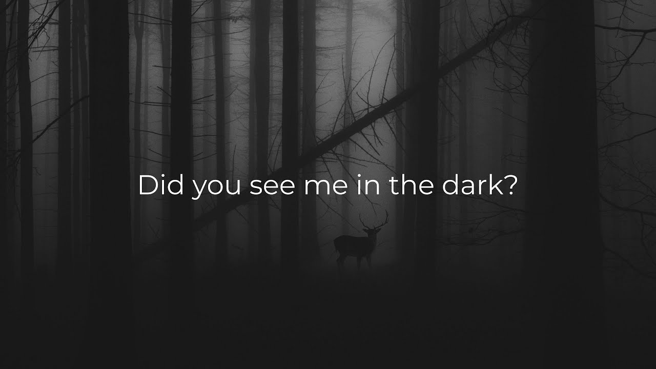 Where Is Home? — Did you see me in the dark? (Dreamscape / Deep Ambient)