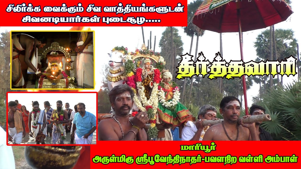 சிவ வாத்தியங்கள் முழங்க மாரியூர் அருள்மிகு ஸ்ரீ பூவேந்திநாதர் - பவளநிறவள்ளி அம்பாள் தீர்த்தவாரி