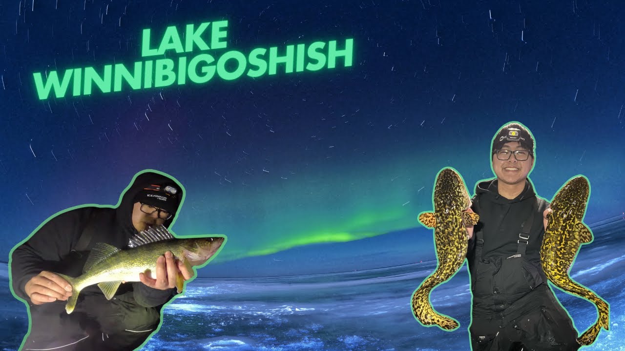 Overnight ice fishing for Burbot/Eelpout on Lake Winnibigoshish, MN! (Multi-Species)