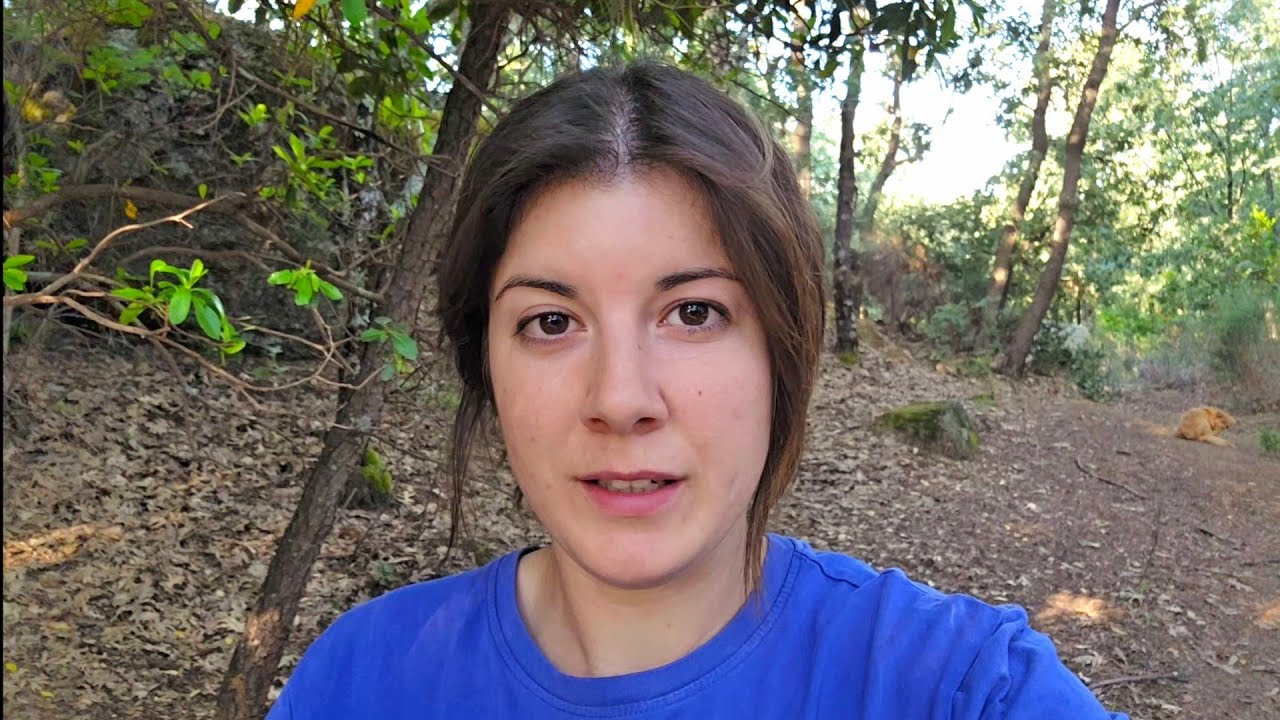 Voy a ver si los gatinos han abierto los ojos, a ver qué pensáis de lo me han preguntado