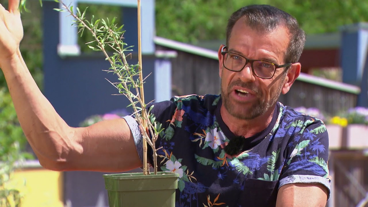 ORF Natur im Garten SEndung vom 6. Juni 2021