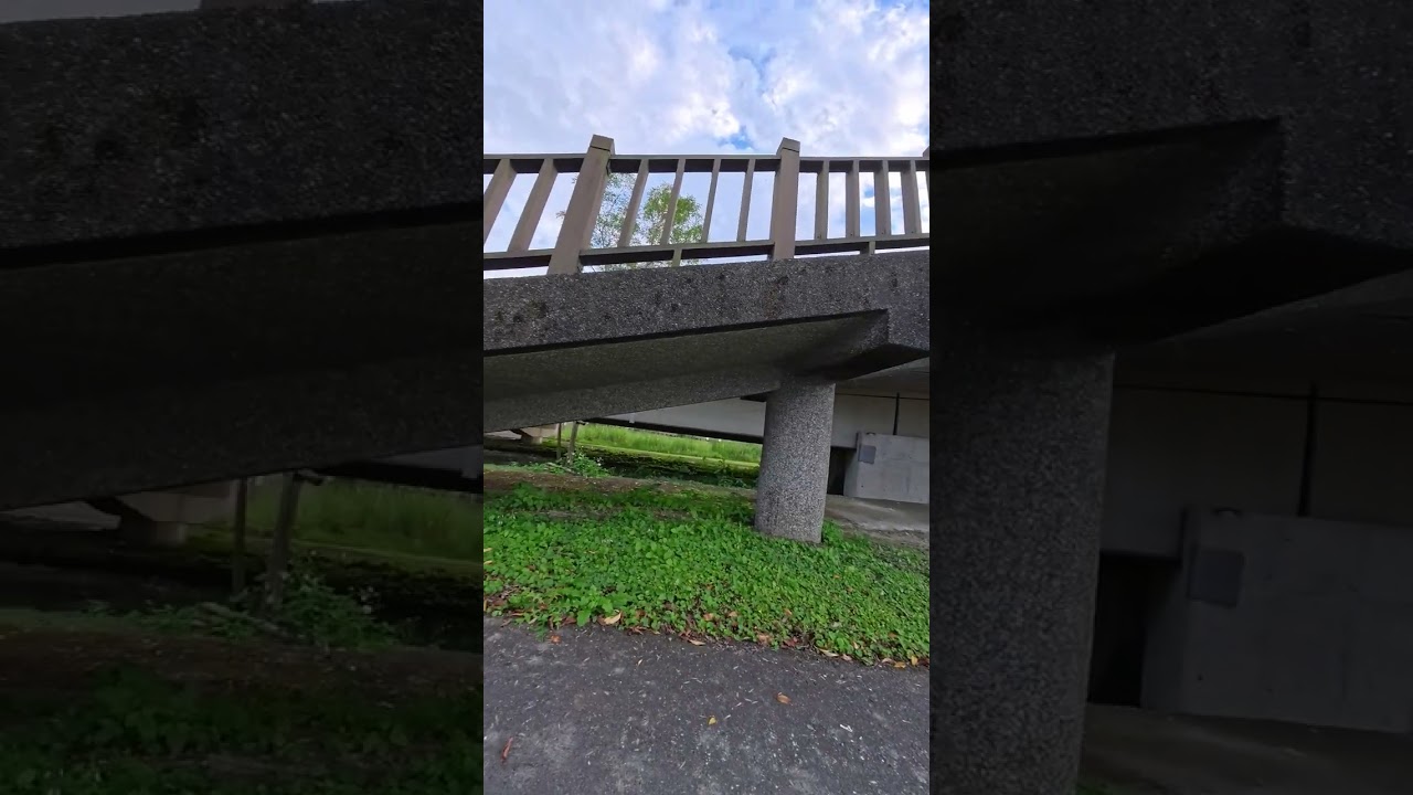 20260130宜蘭三星安農溪-左岸自行車道一圈
