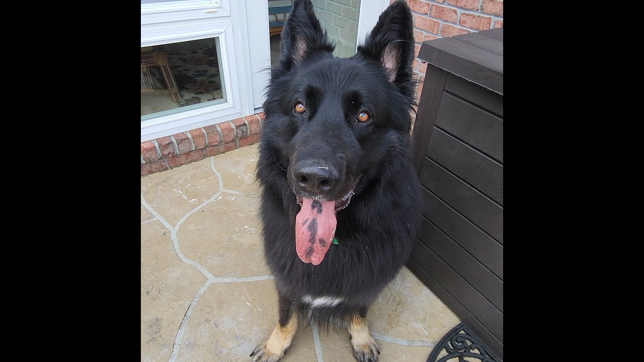 THOR TESTING BOUNDARIES. I'm trying not to laugh 😂🥰