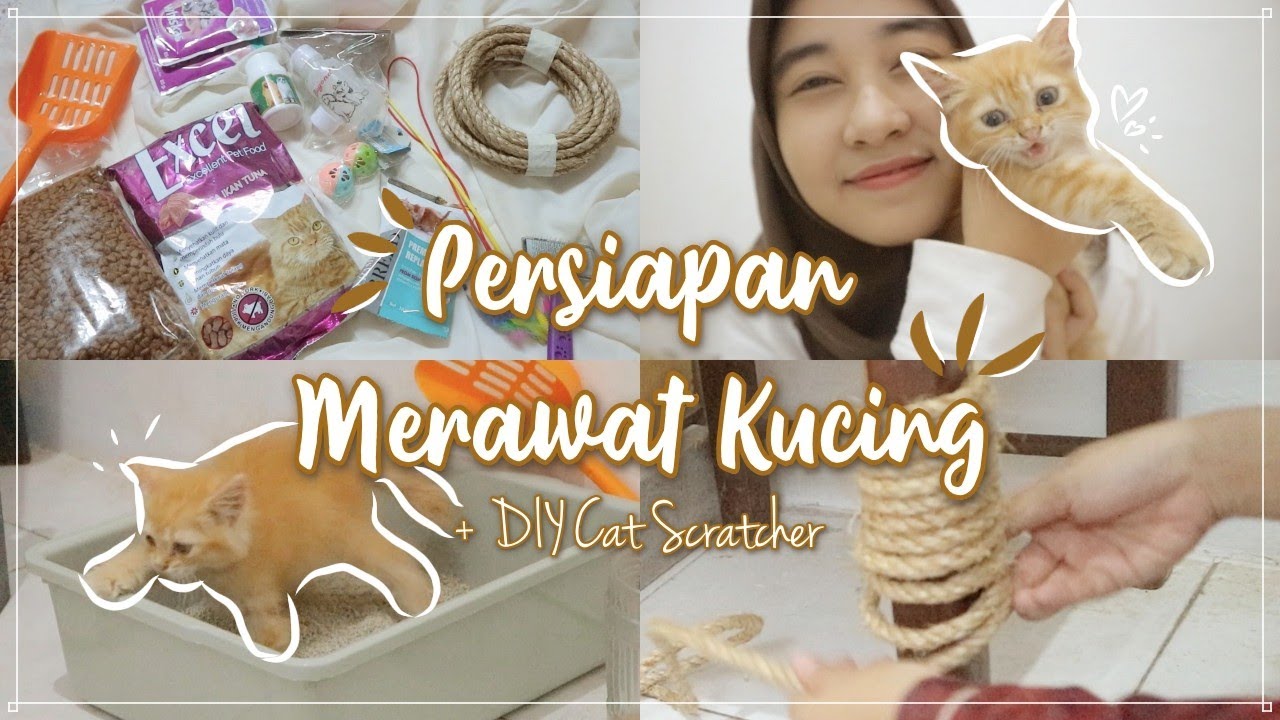 SHOPEE HAUL PERLENGKAPAN KUCING KITTEN +DIY Garukan Kucing