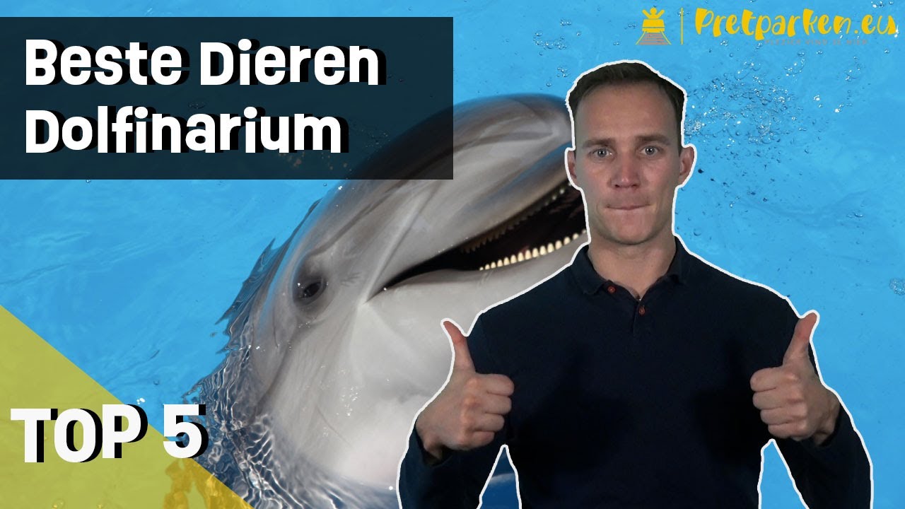 De leukste dieren in Dolfinarium | Top 5