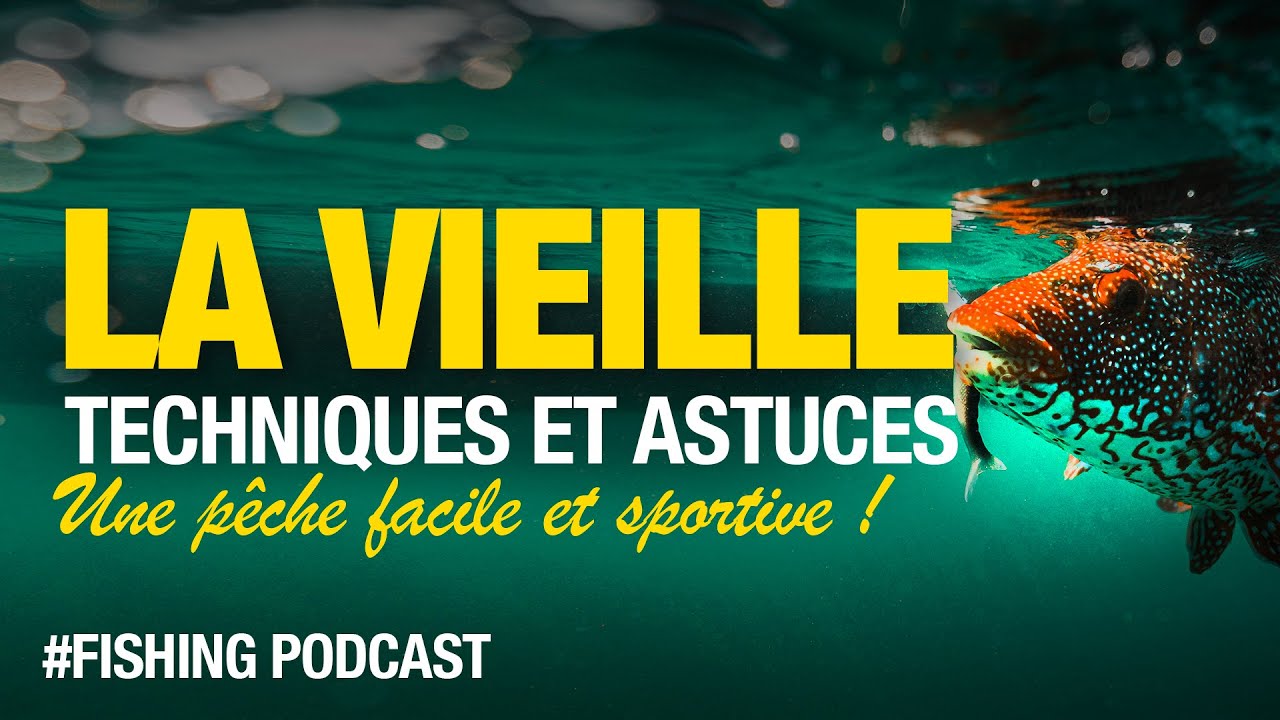 Pêcher de la #vieille facile en bord de mer
