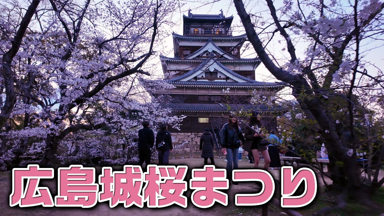 【広島城桜まつり】何百年の歴史に思いを馳せながら愛でるお城と桜。