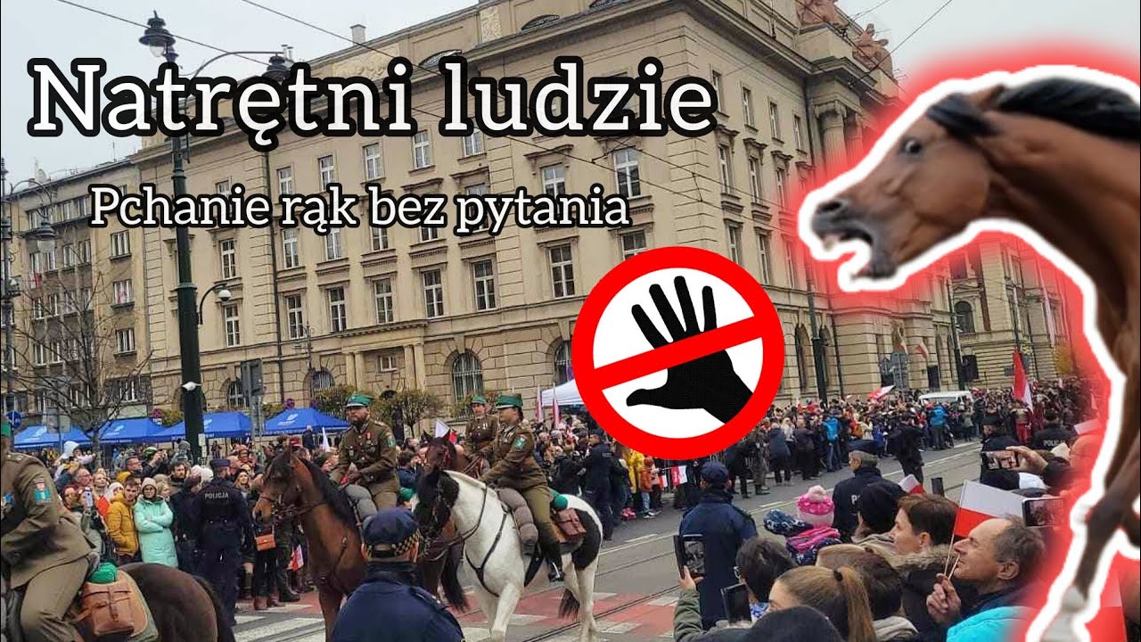 ATAK KONIA NA CZŁOWIEKA?/ CZY FIGA STRACIŁA CIERPLIWOŚĆ?